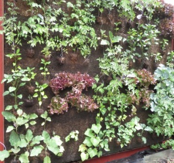 Huerta vertical